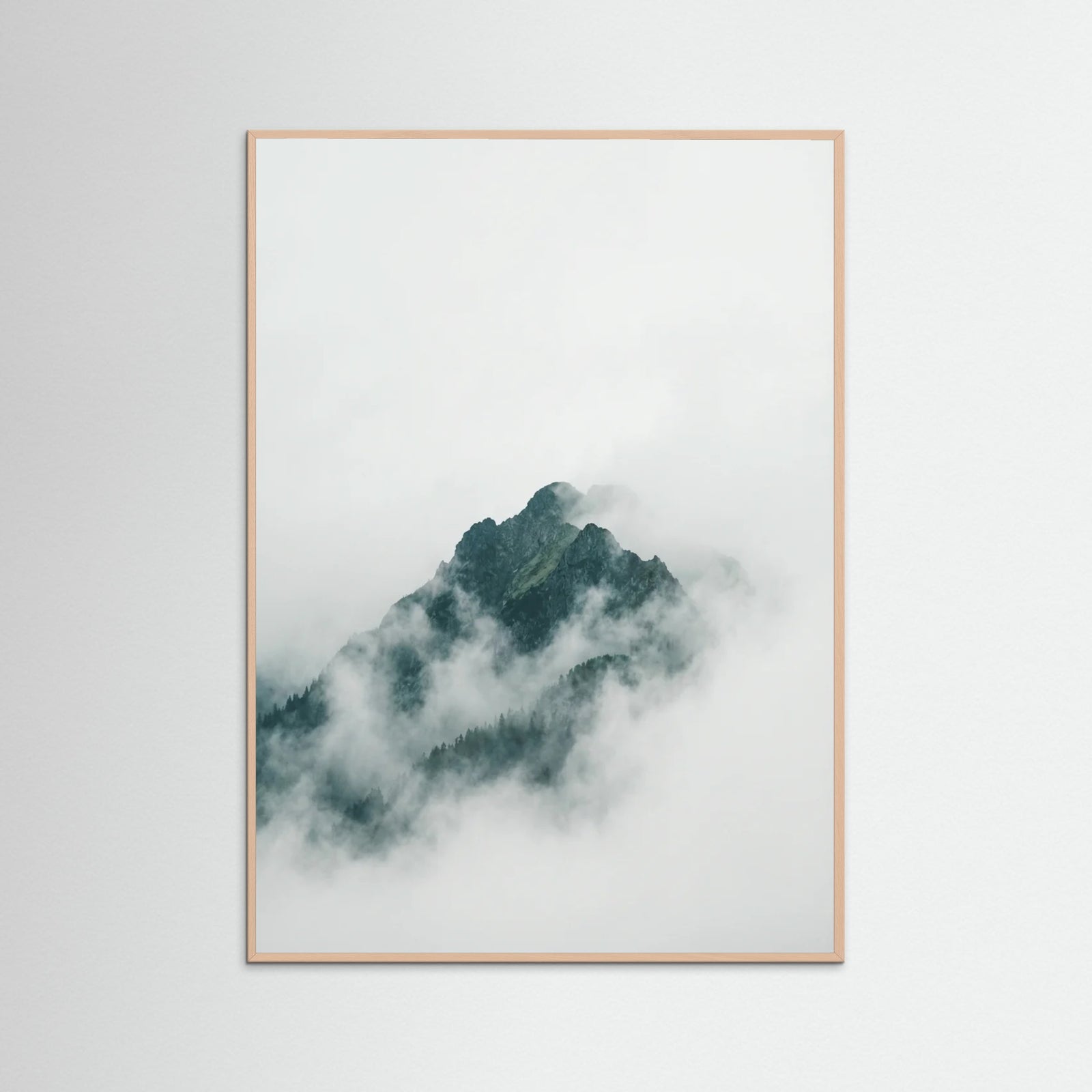 Rose Wood Misty Forest Canopy