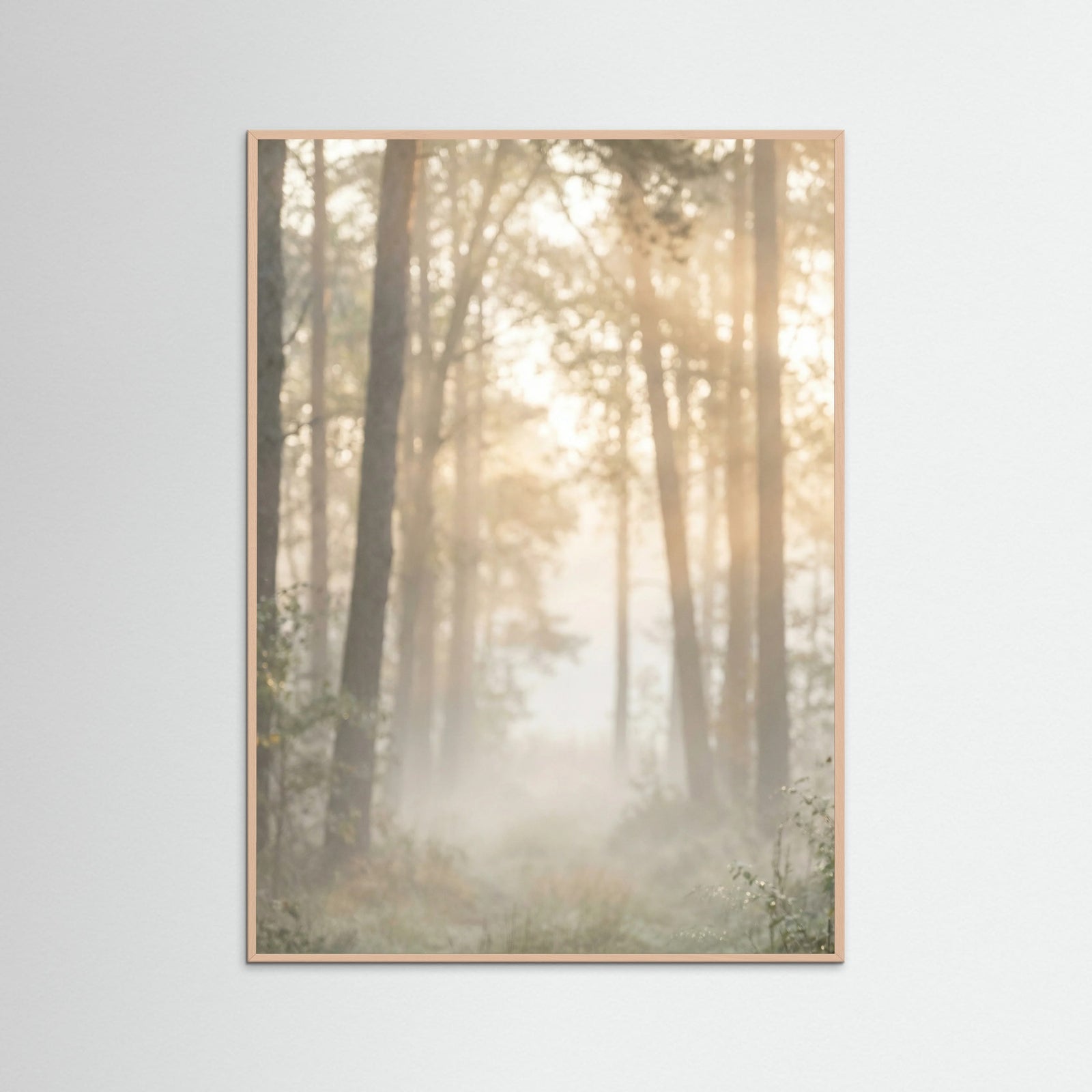 Rose Wood Misty Morning Shore