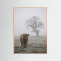 Rose Wood Misty Sheep