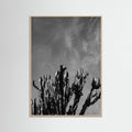 Rose Wood Monochrome Cactus Sky Poster