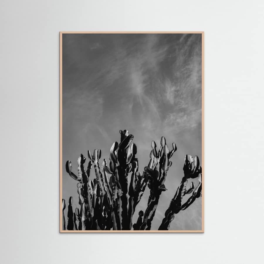Rose Wood Monochrome Cactus Sky Poster