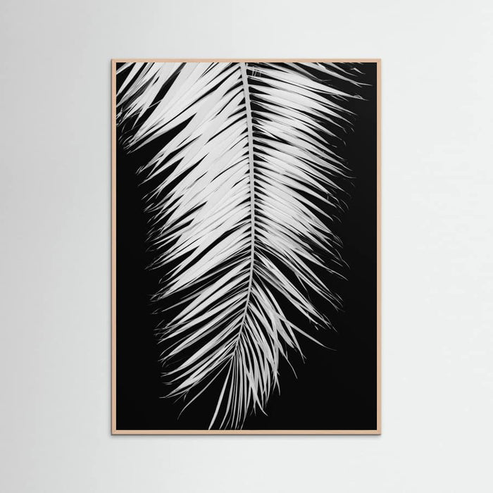 Poster Monochrome Palm Elegance – poster e stampa artistica