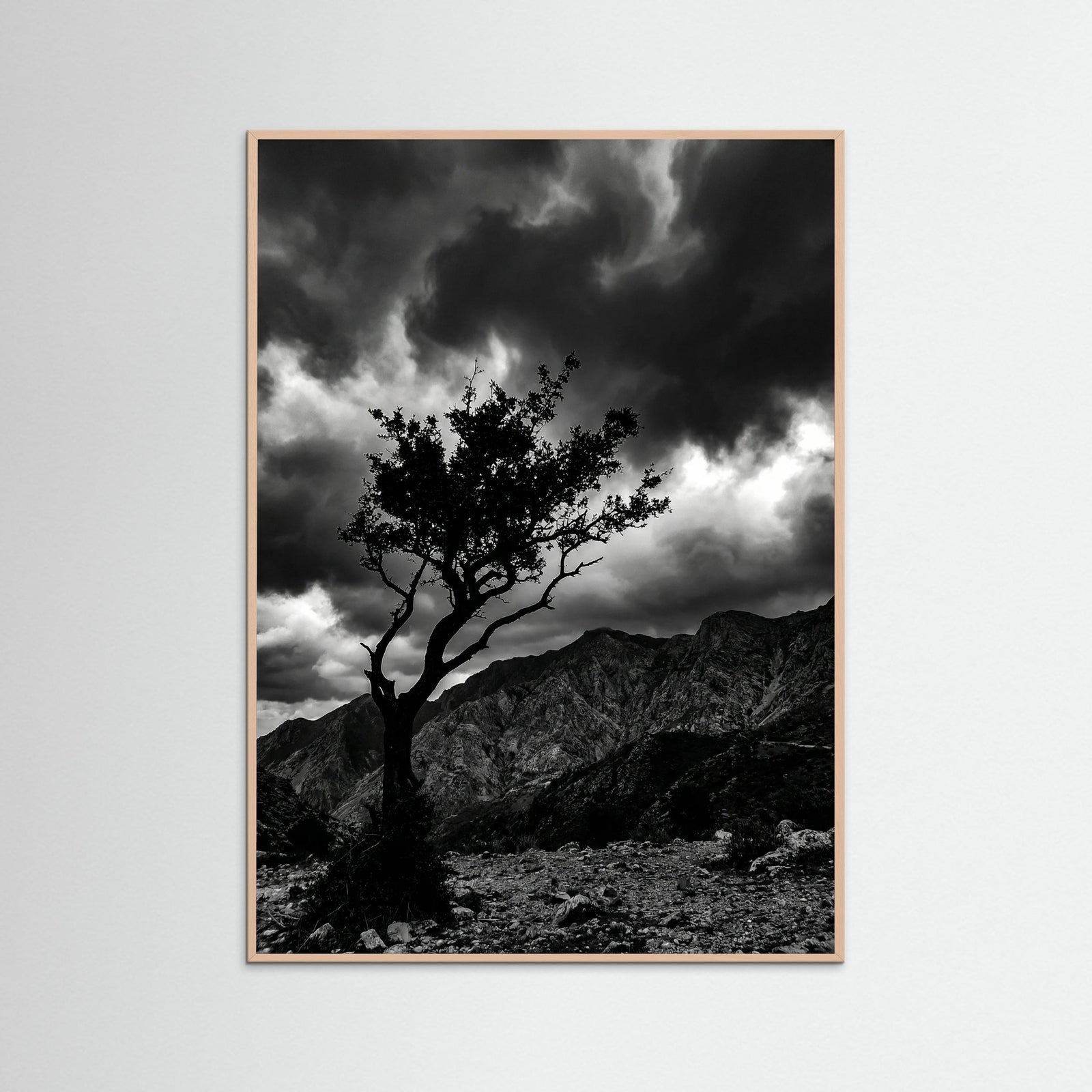 Rose Wood Monochrome Seascape