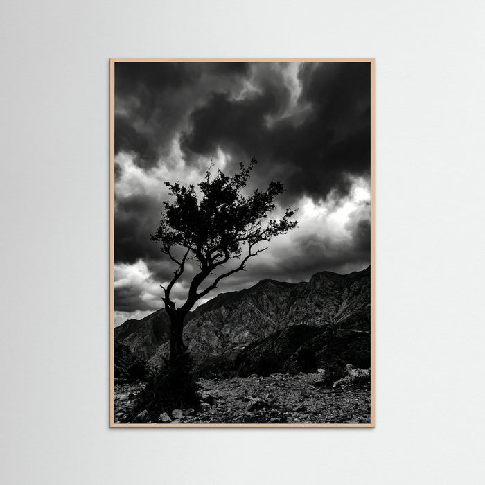 Rose Wood Monochrome Seascape