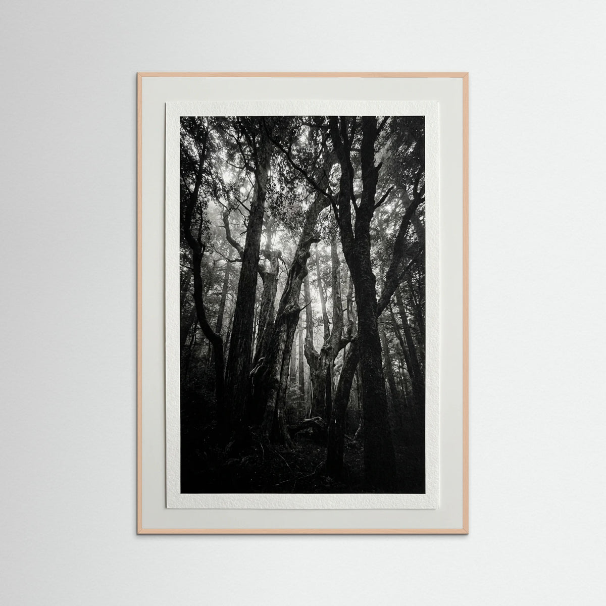 Rose Wood Monolith Coast