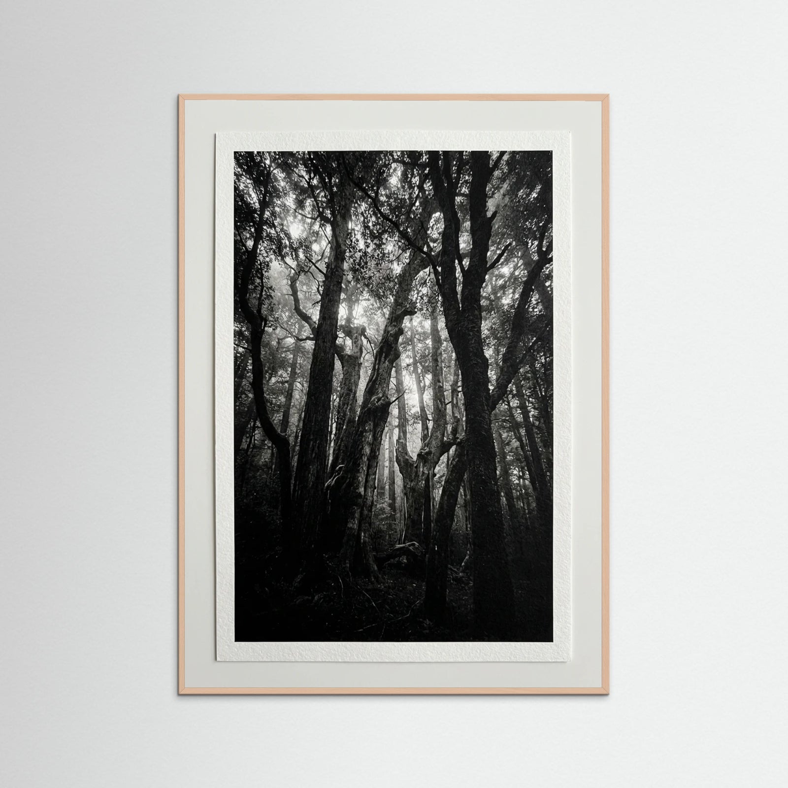 Rose Wood Monolith Coast