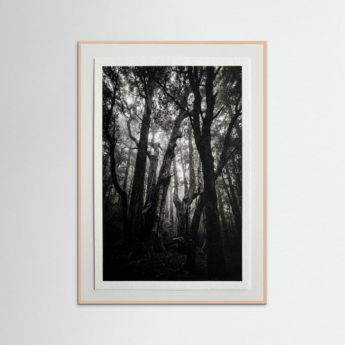 Rose Wood Monolith Coast