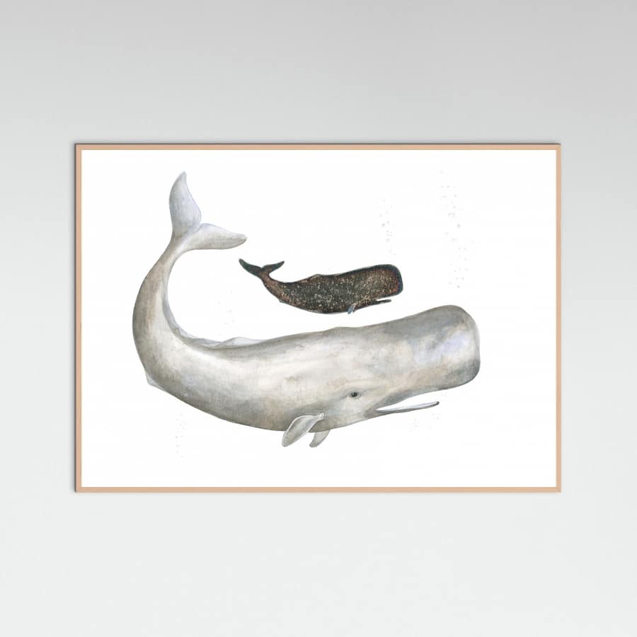 Poster Mother and Baby Sperm Whale – poster e stampa artistica