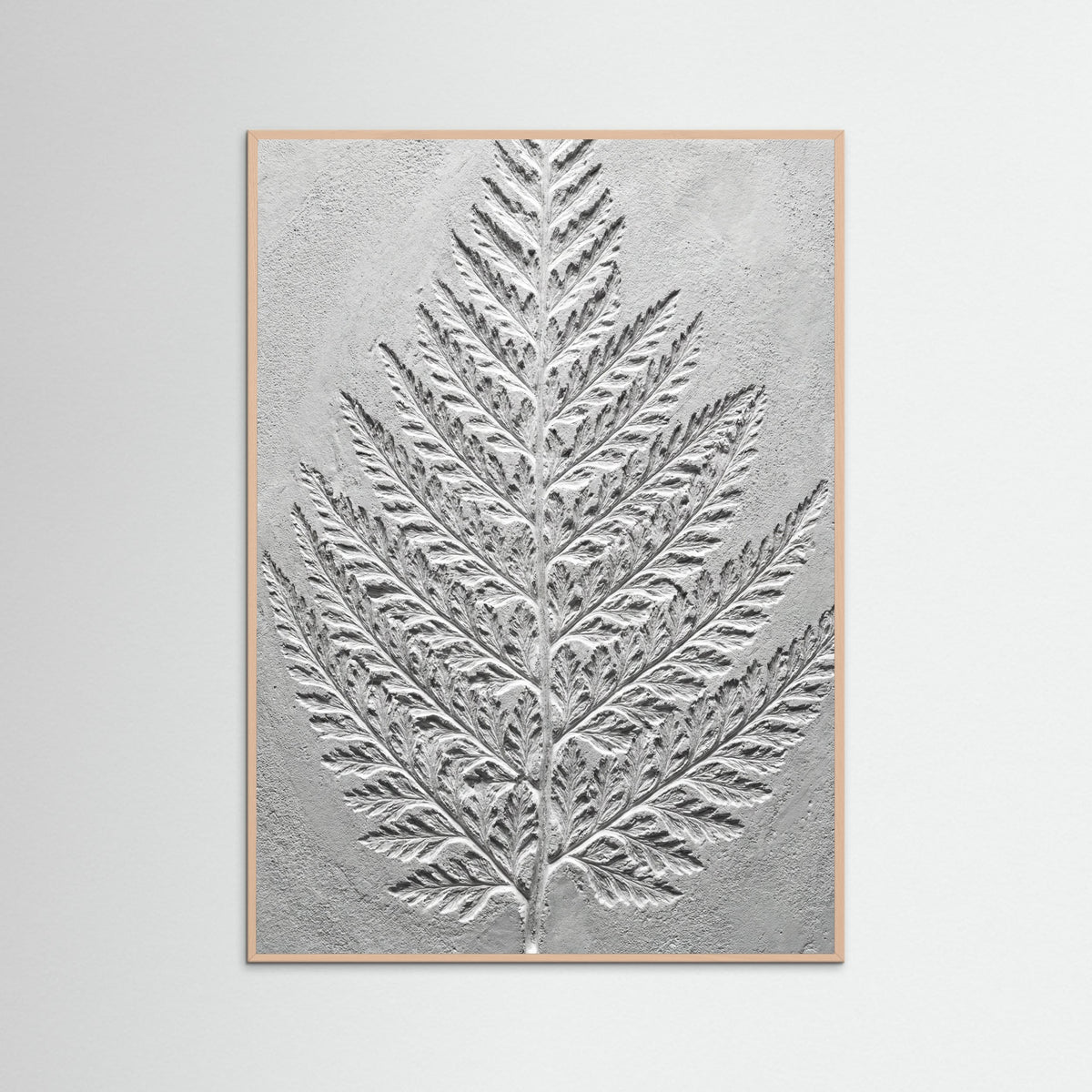 Rose Wood Nautilus Relief