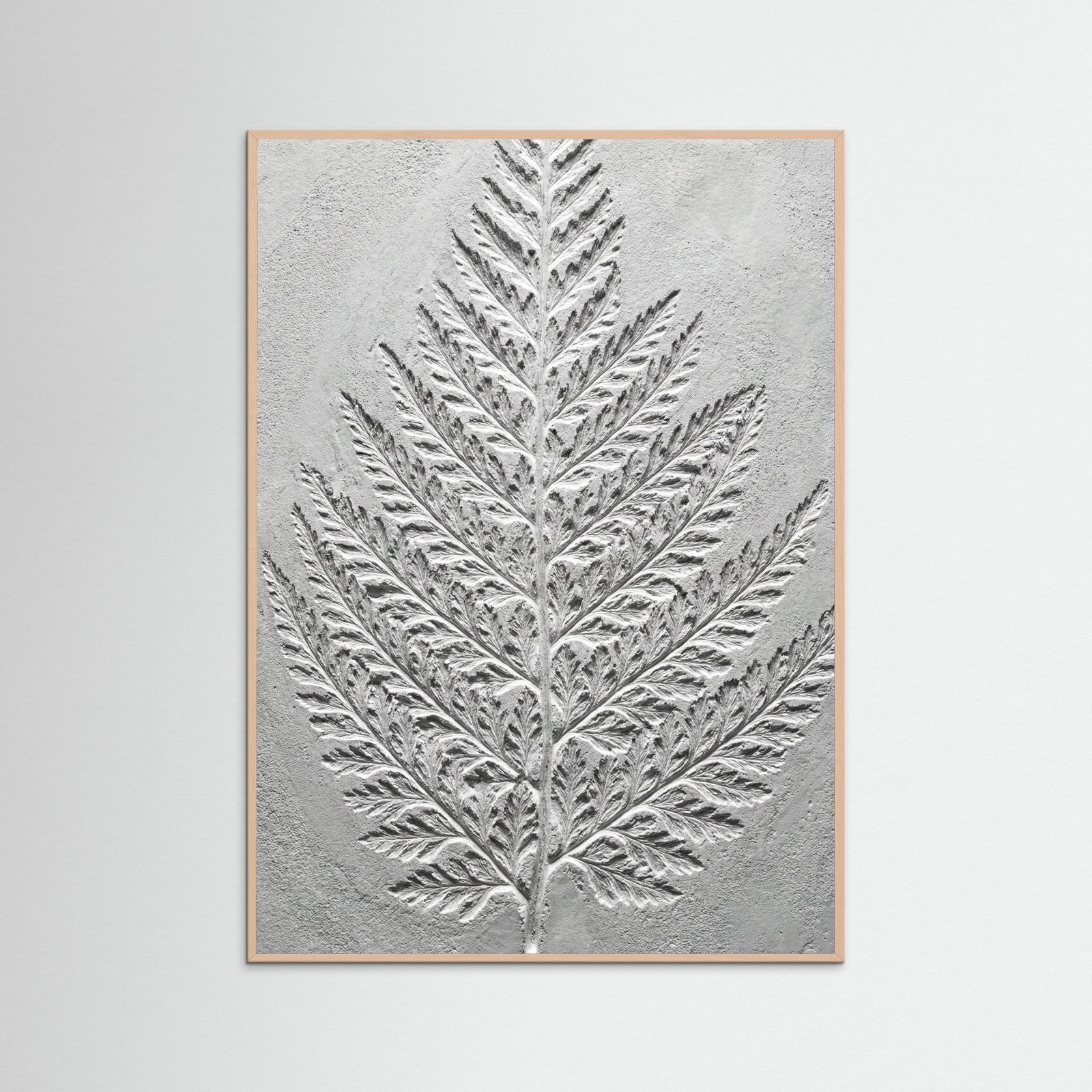 Rose Wood Nautilus Relief