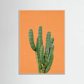 Rose Wood Orange Cactus Poster
