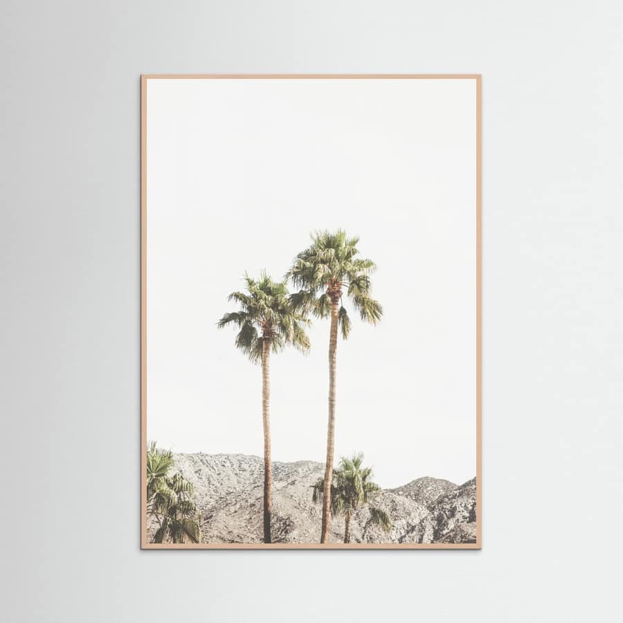 Póster Palm Springs Palms – póster e impresión artística