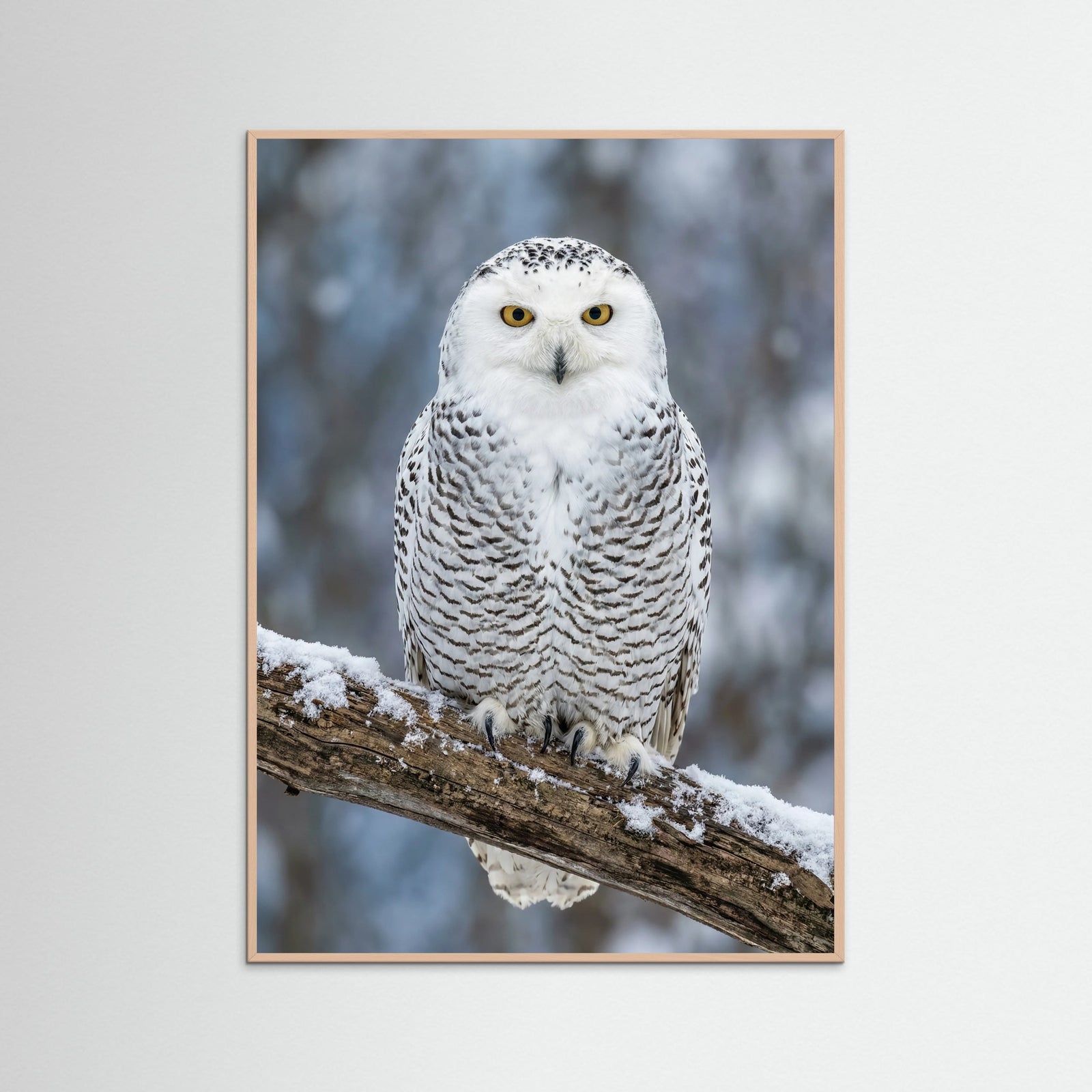 Rose Wood Pandas Serenity