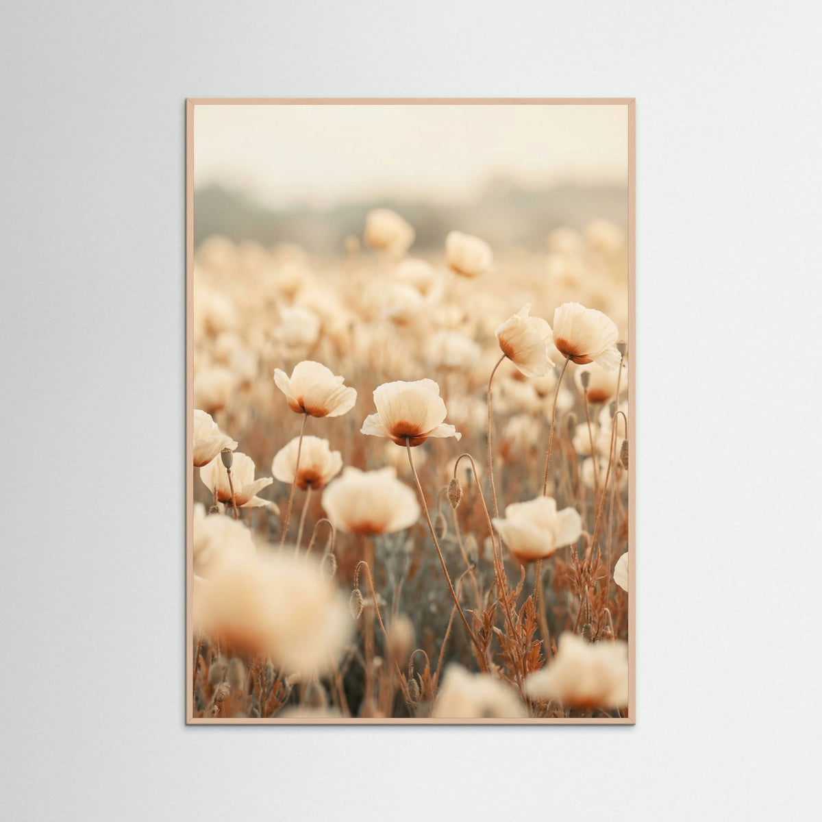 Rose Wood Petal Radiance