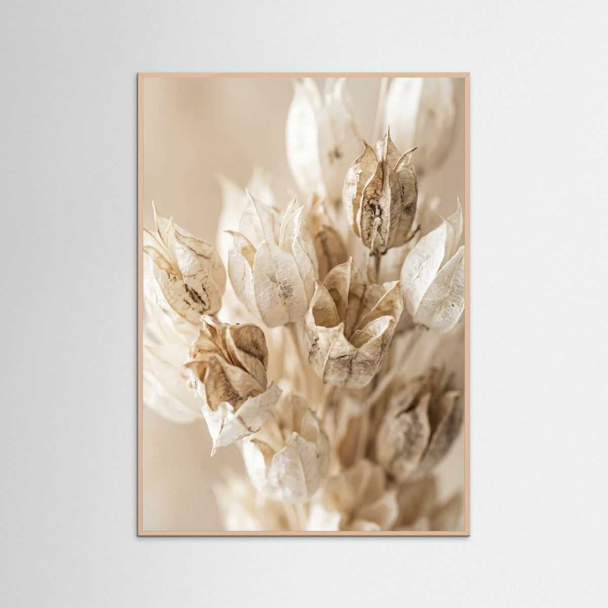 Rose Wood Petal Serenitys