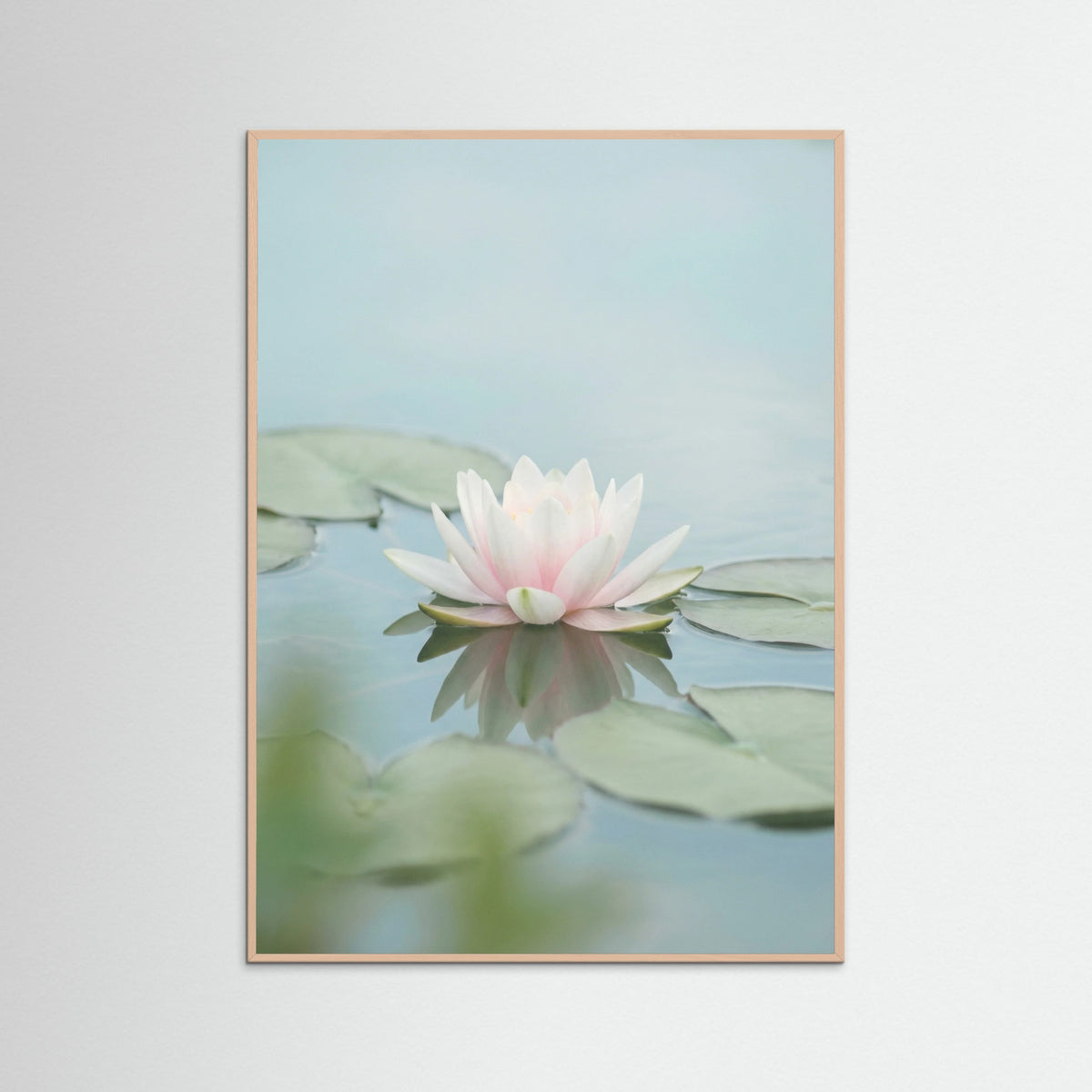 Rose Wood Pink Lotus Serenity