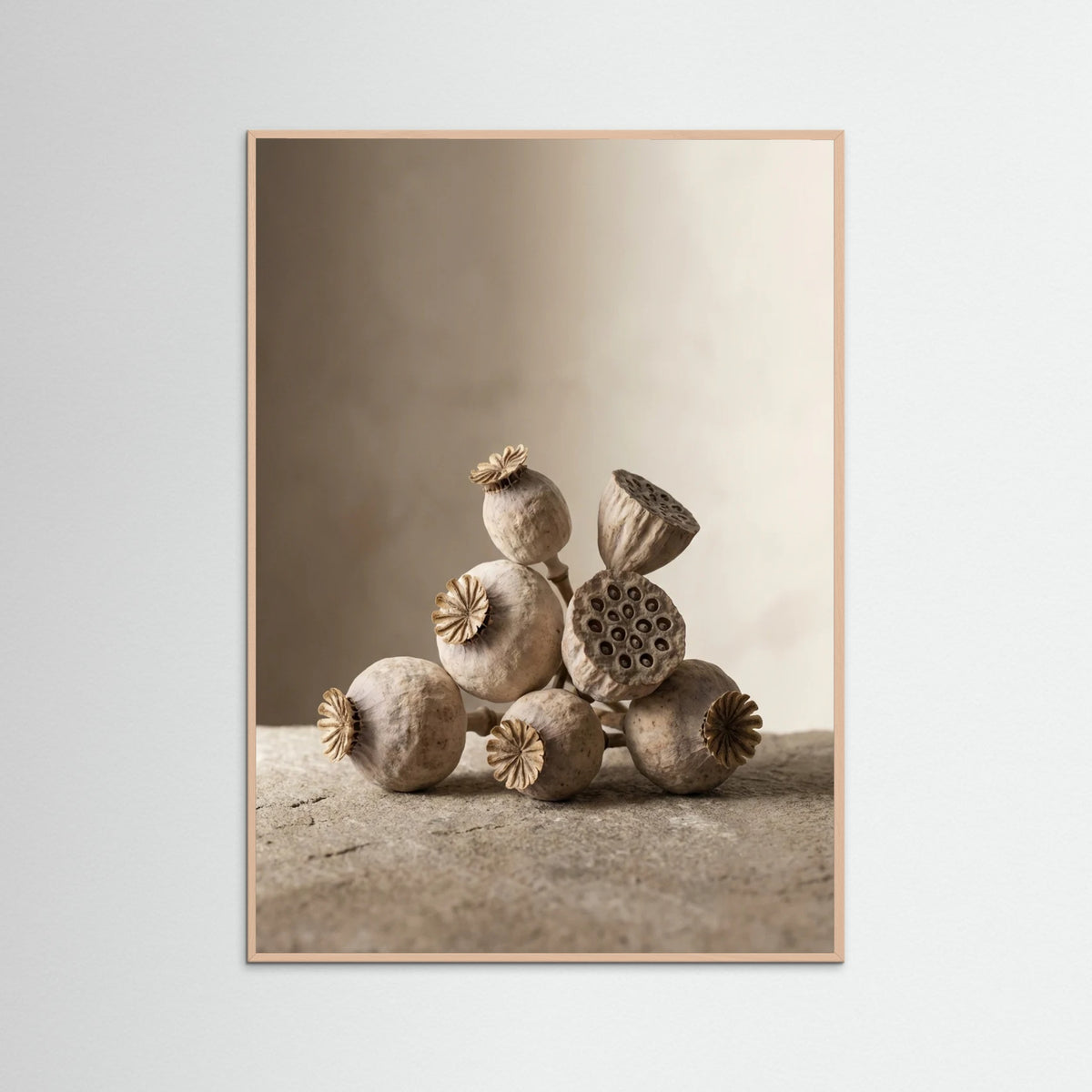 Rose Wood Quiet Bloom