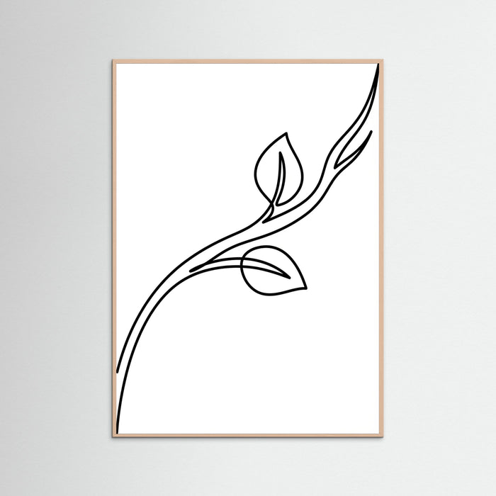 Rose Wood Quiet Contours