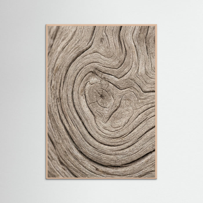 Rose Wood Sandy Whisper