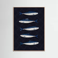 Affiche Sardines – affiche et impression d’art