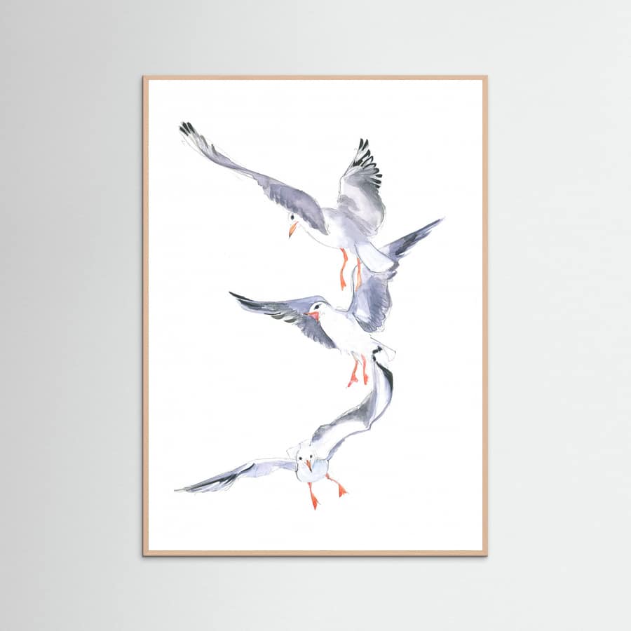 Poster Seagull Flight – poster e stampa artistica