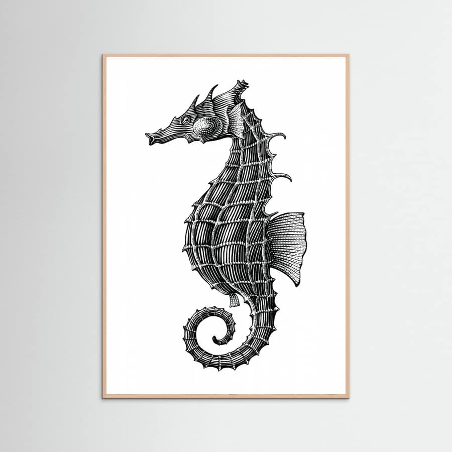 Affiche Seahorse – affiche et impression d’art