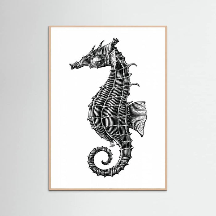 Affiche Seahorse – affiche et impression d’art