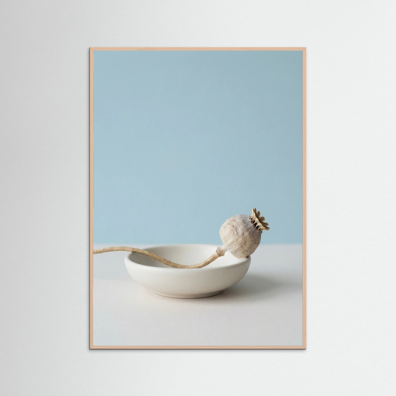 Rose Wood Serene Foliage