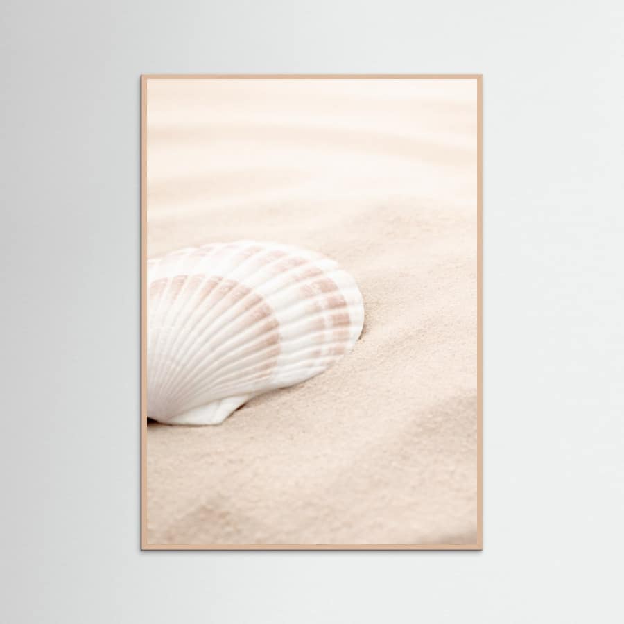 Poster Shell_3 – poster e stampa artistica
