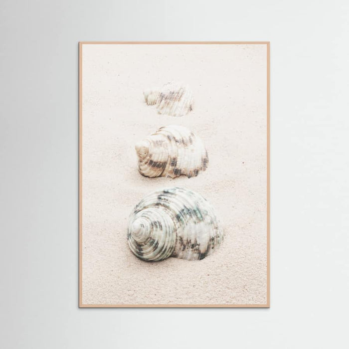 Poster Shells – poster e stampa artistica