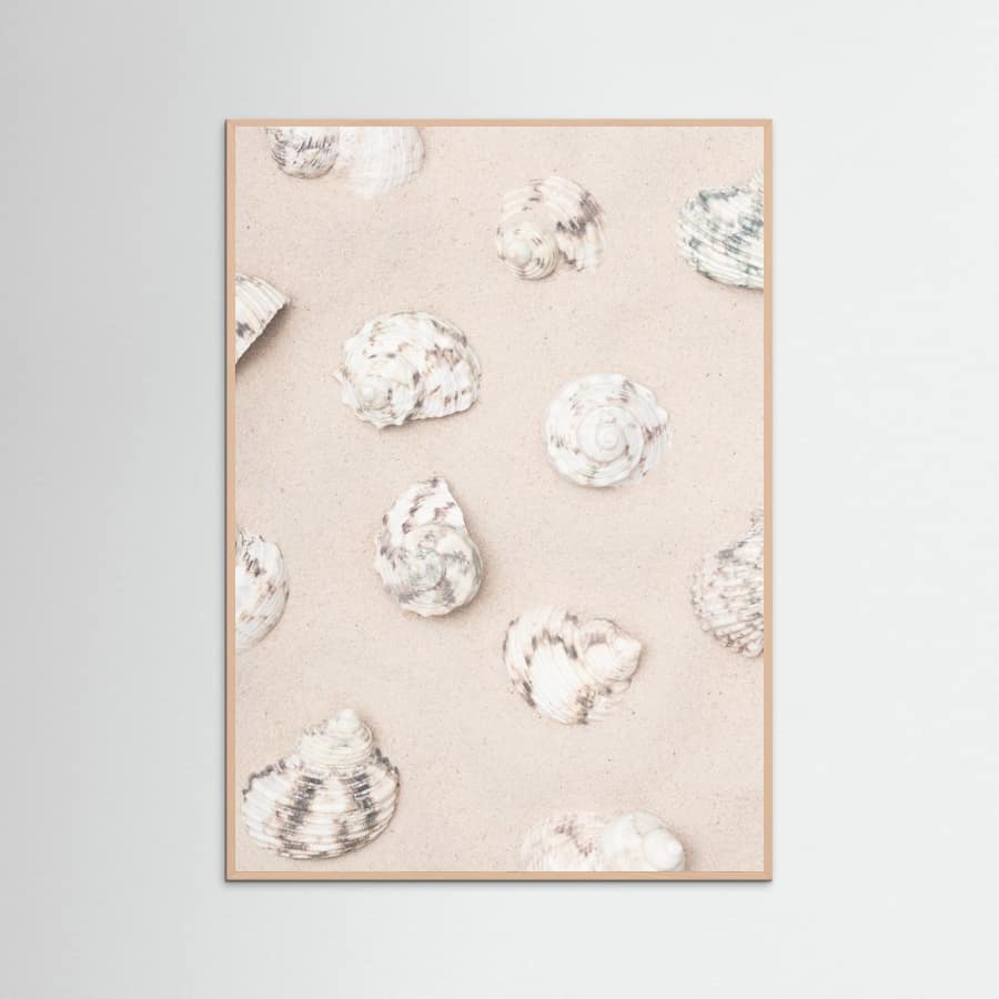Shells_2 Poster – Poster und Kunstdruck