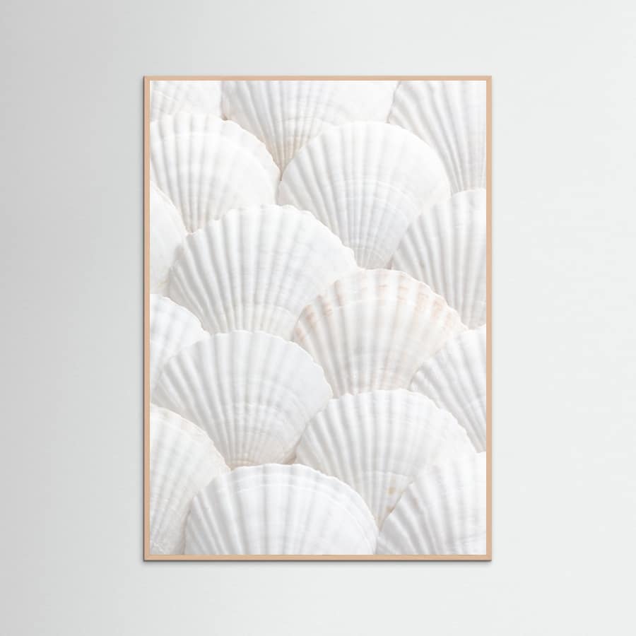 Shells_3 Poster – plakat og kunsttryk