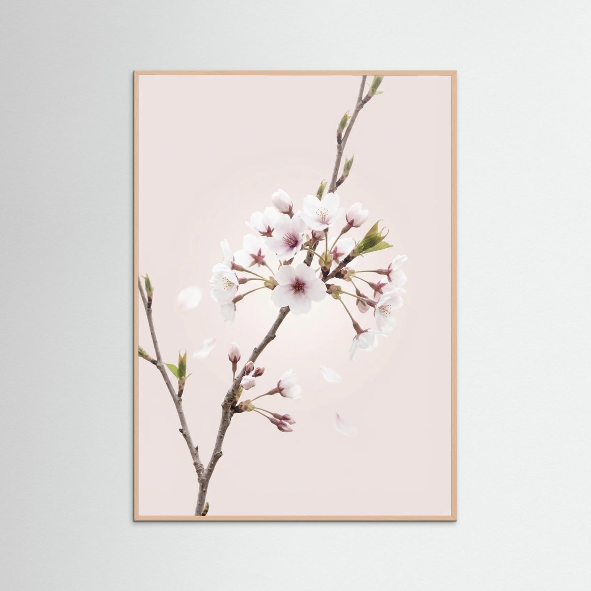 Rose Wood Soft Bloom