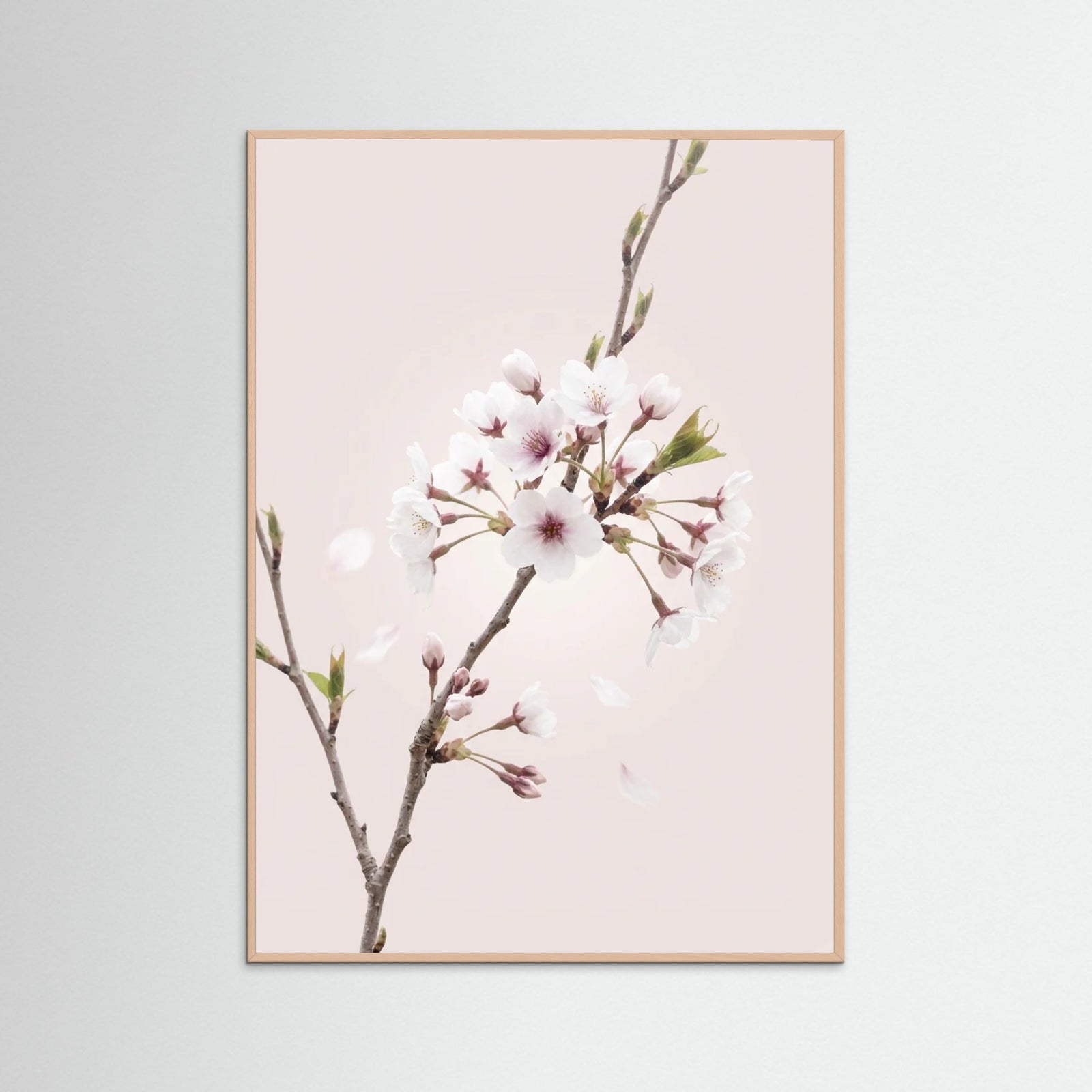 Rose Wood Soft Bloom