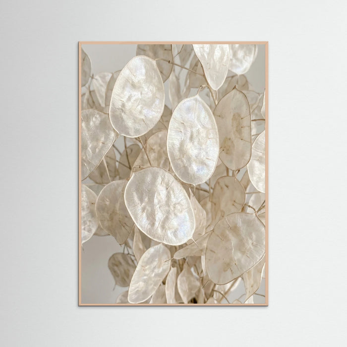 Rose Wood Soft Petal Dreams