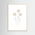 Rose Wood Soft Petal Sketch