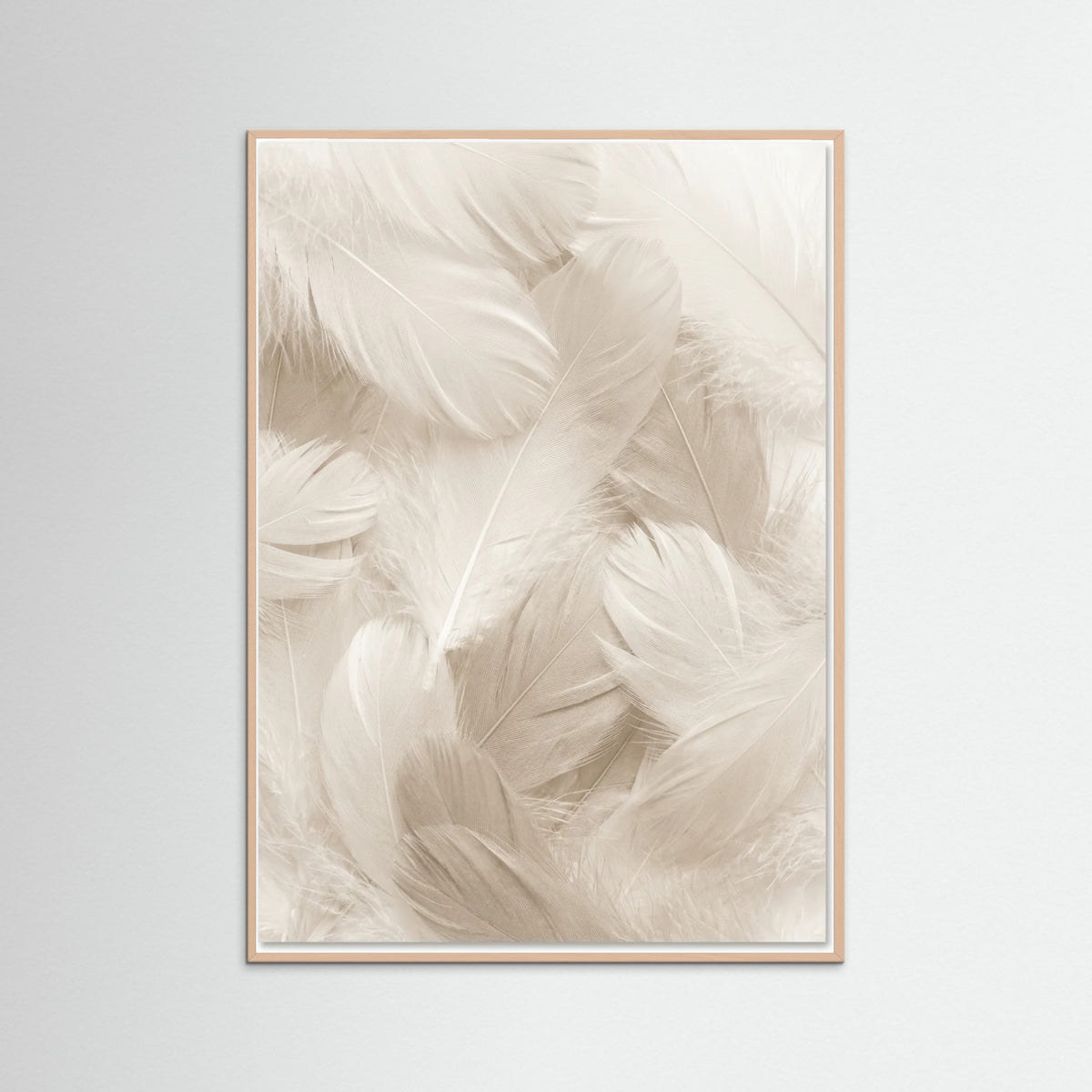 Rose Wood Soft Petals
