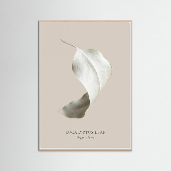Rose Wood Soft Radiance