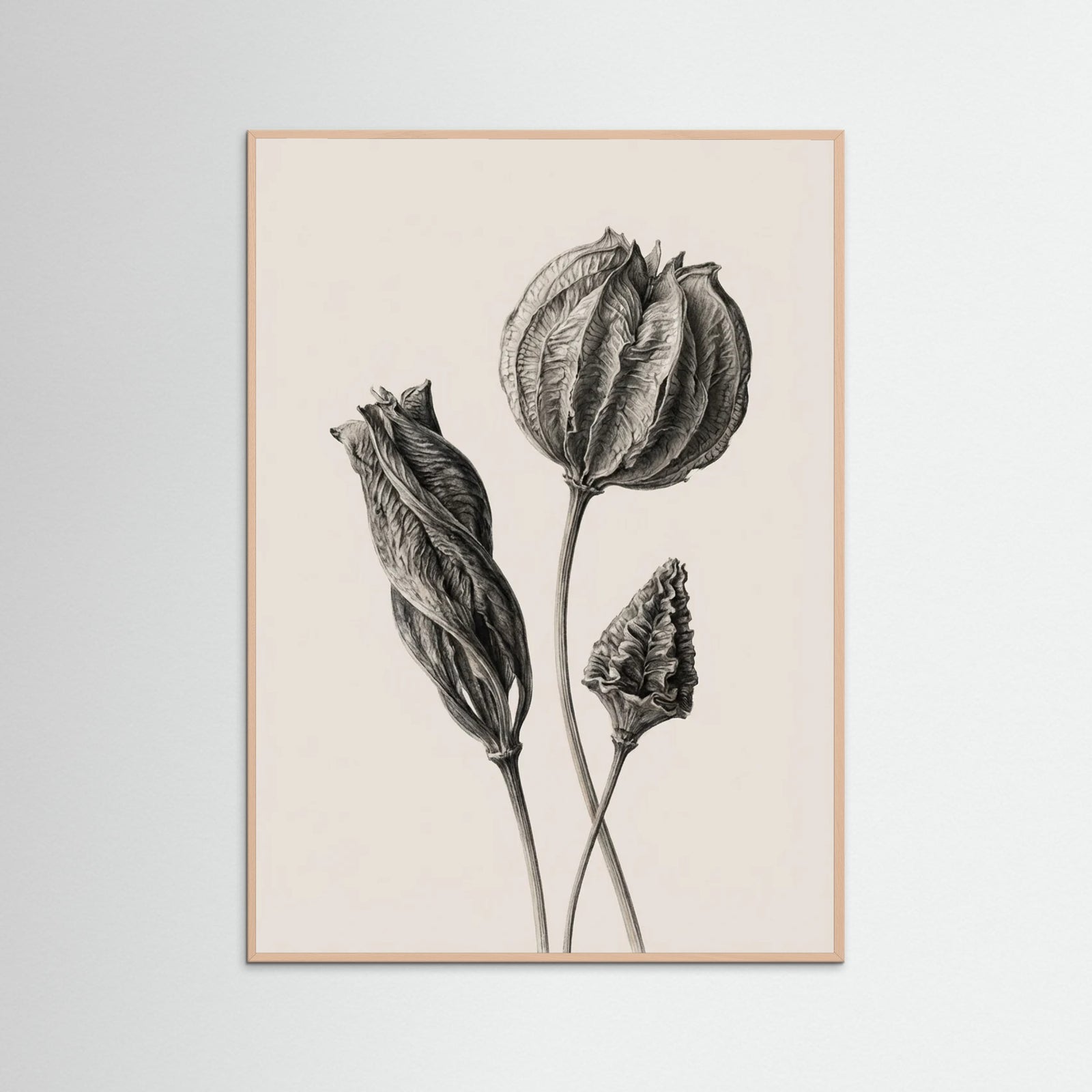 Rose Wood Solitary Bloom