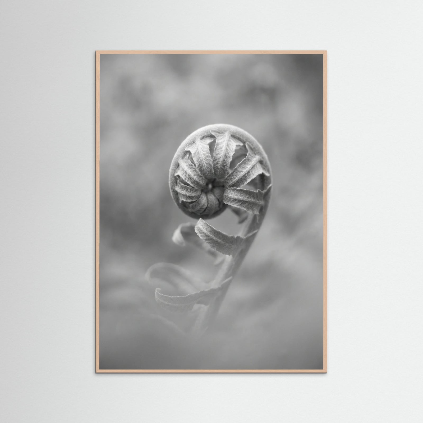 Rose Wood Solitary Bloom
