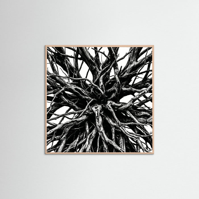 Rose Wood Square Dense Thicket