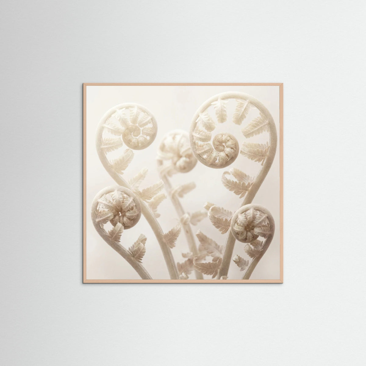 Rose Wood Square Ethereal Bloom