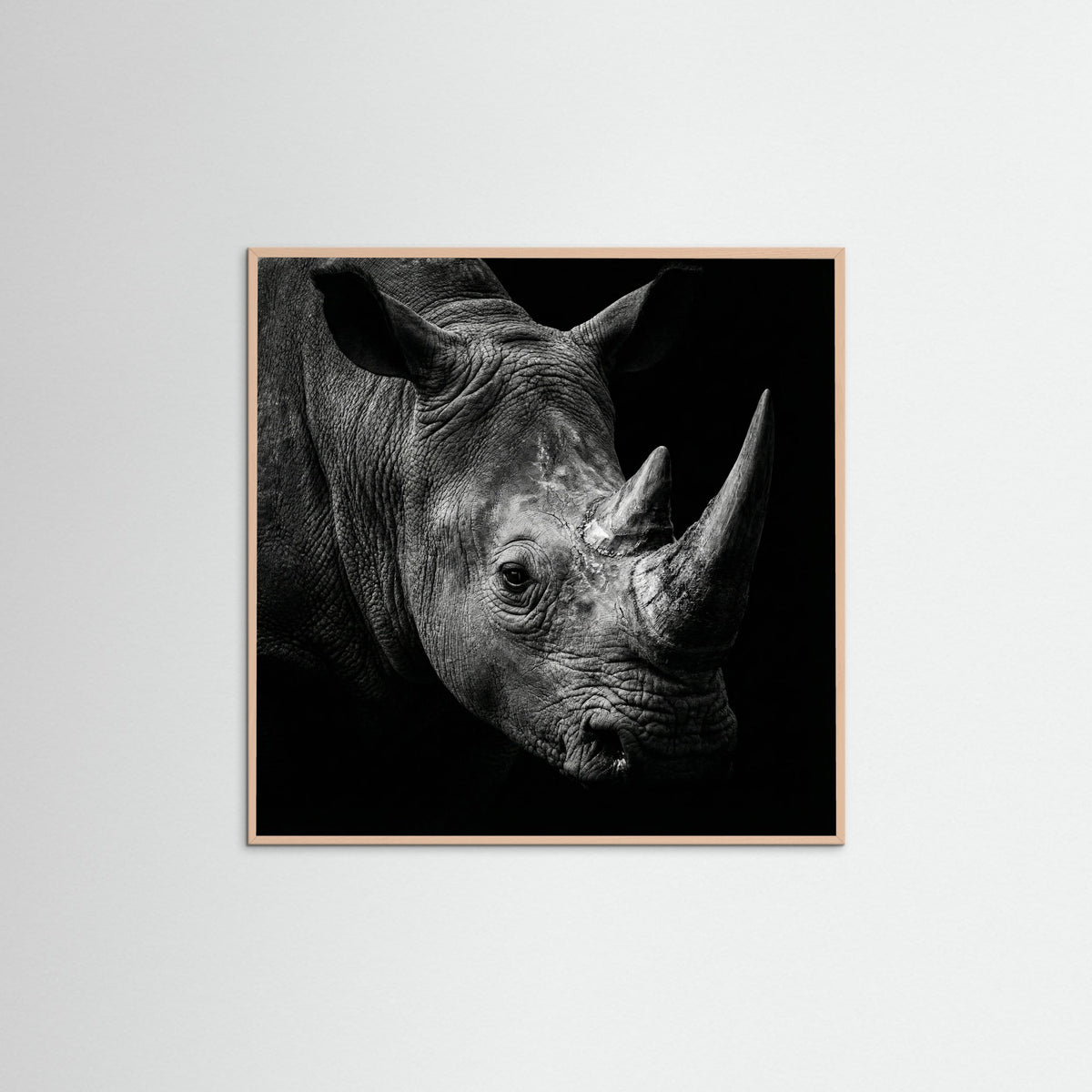 Rose Wood Square Gentle Giant