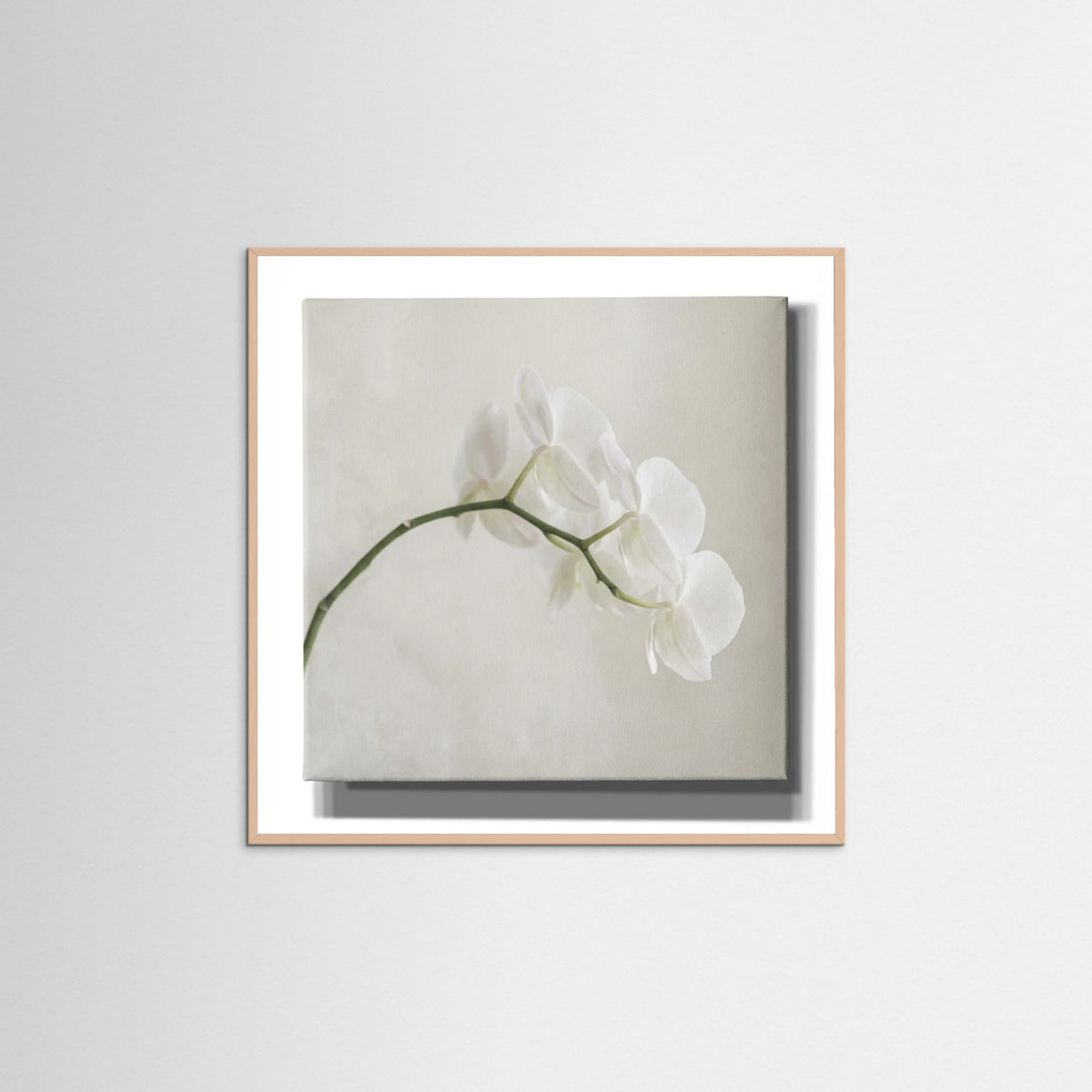 Rose Wood Square Quiet Bloom