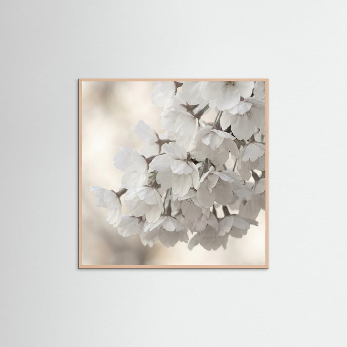 Rose Wood Square White Bloom Serenity