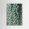 Rose Wood Succulent Serenity