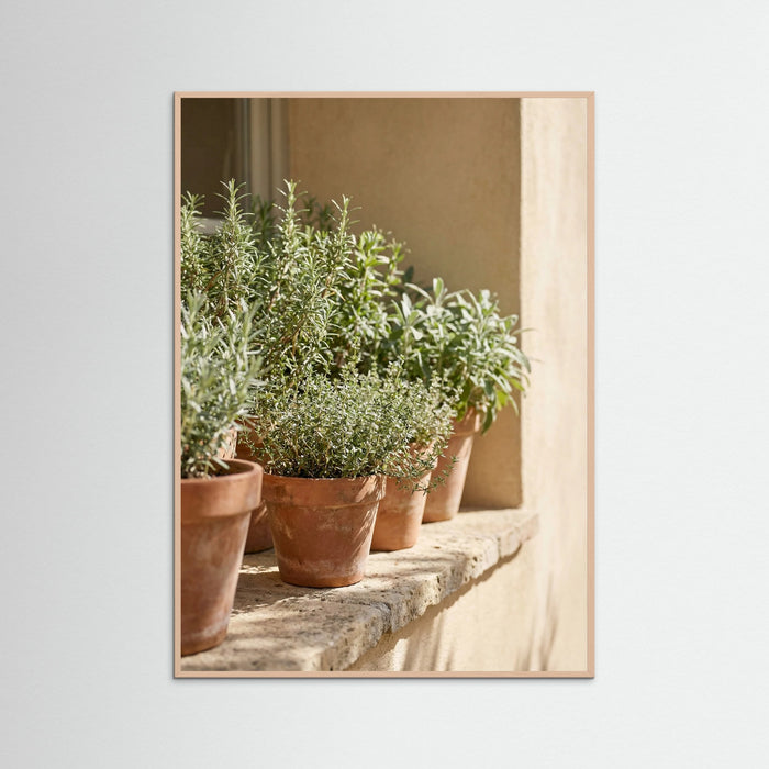 Rose Wood Sunlit Olive