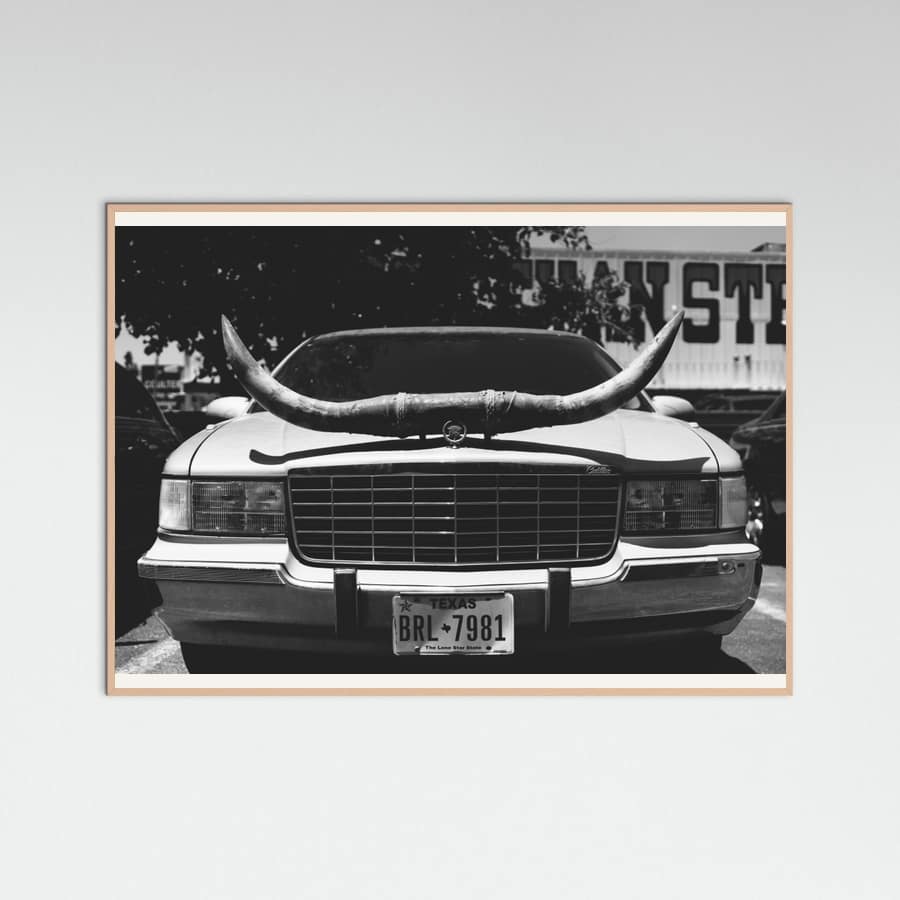 Rose Wood Texas Ride Poster