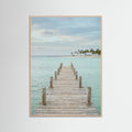 Rose Wood Tropical Pathway