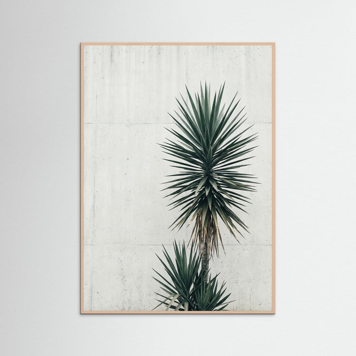 Rose Wood Urban Palms Vista